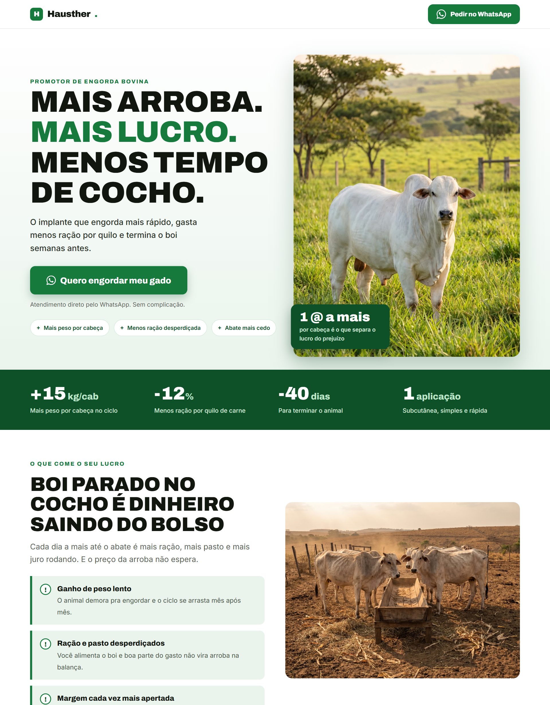 Prévia da landing Clássico
