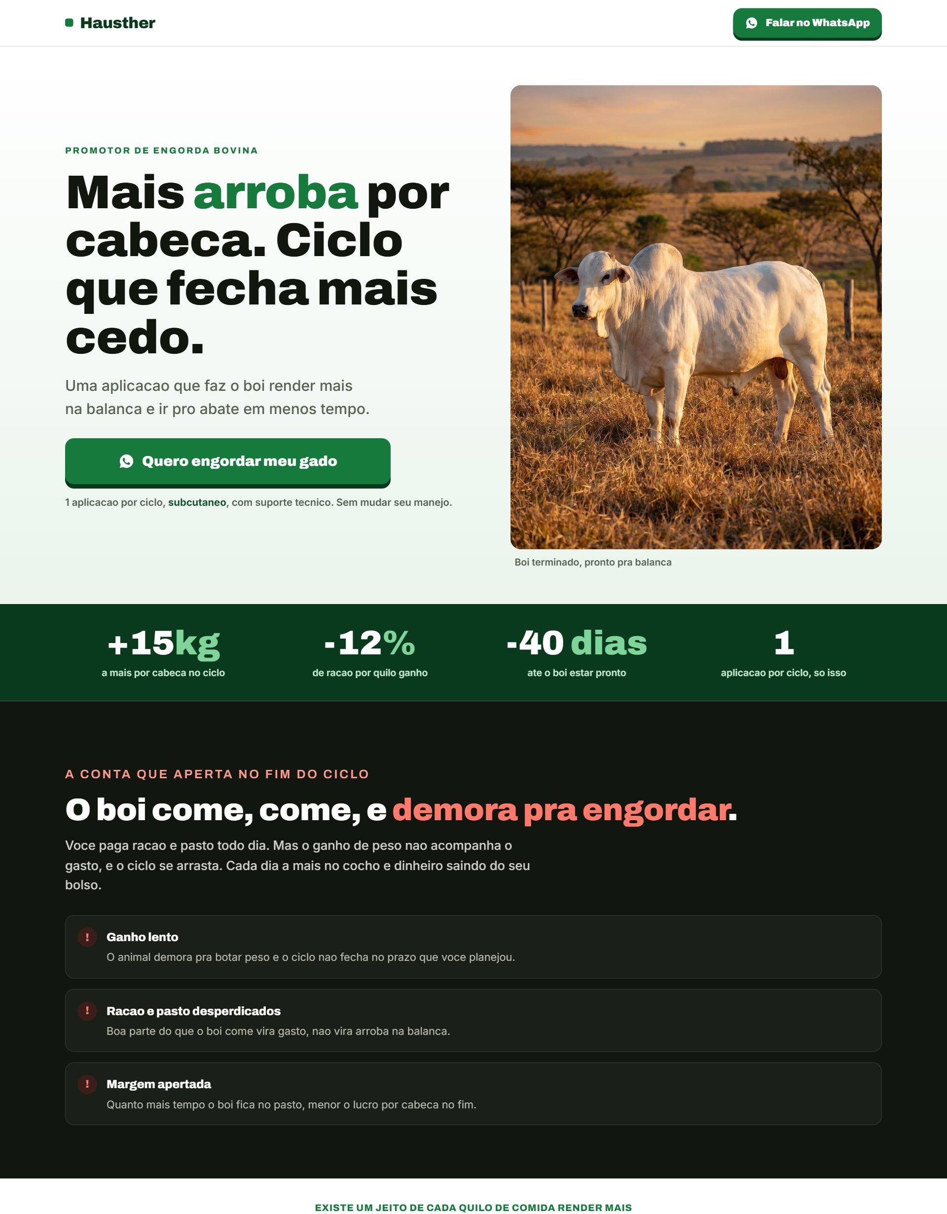 Prévia da landing Arroba e Lucro