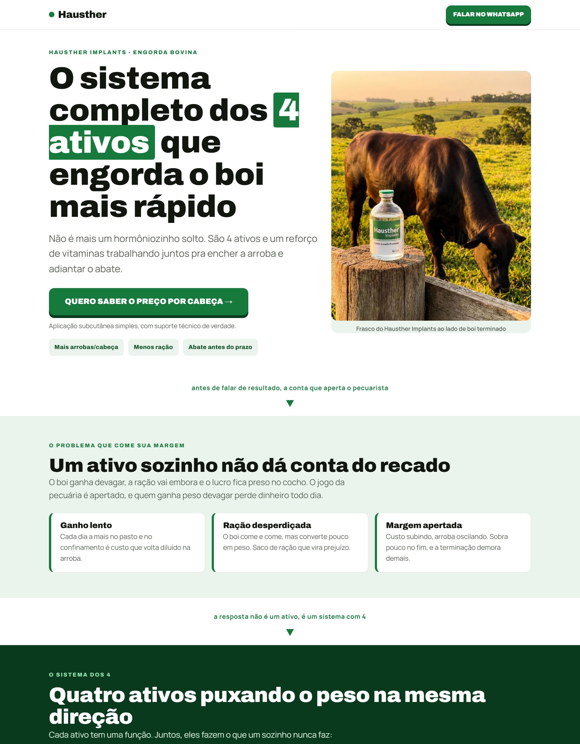 Prévia da landing O Sistema