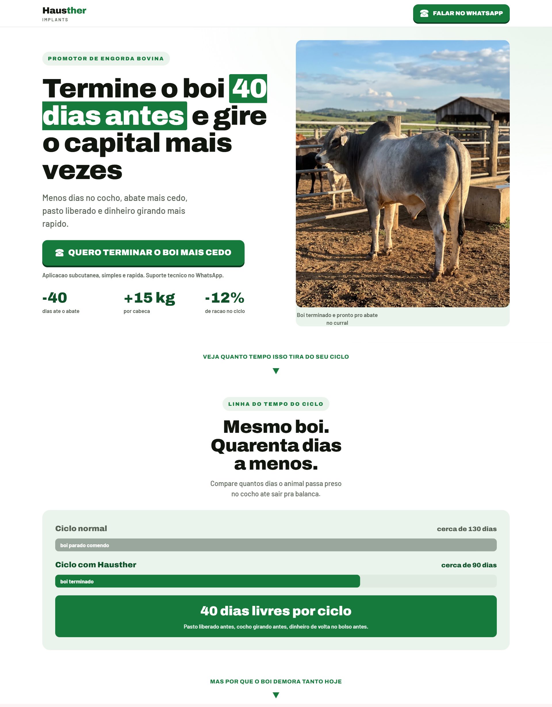 Prévia da landing Tempo e Velocidade