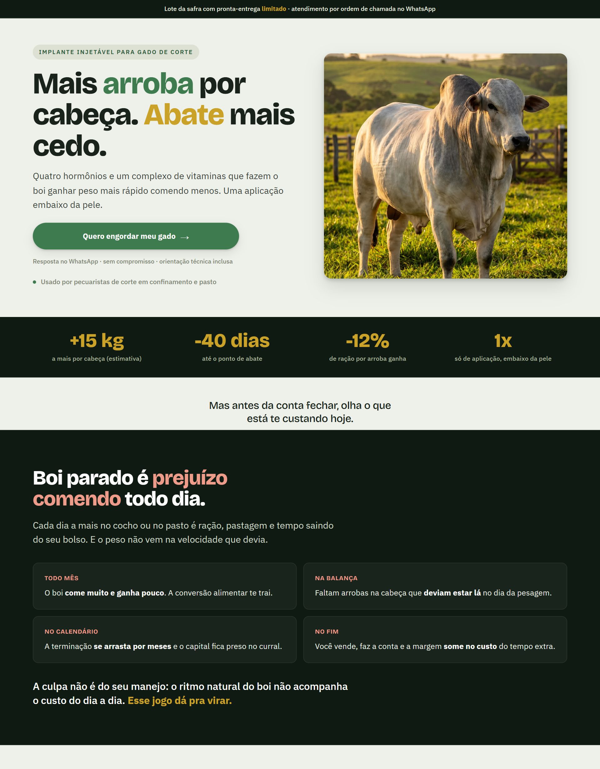 Prévia da landing Pasto Premium